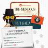 Tre-Mendous Times Pet Gala at Jio World Drive