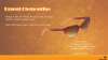 Fastrack launches the 'After Party' collection of Sunglasses - Urgent Clementine Womens Sunglasses