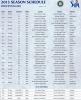 IPL T20 2013 Schedule - Page 2