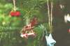 How Malls Are Turning into Holiday Wonderlands with Larger-Than-Life Christmas Trees